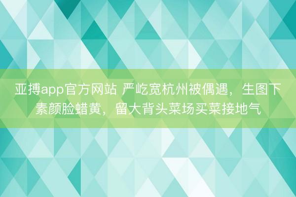 亚搏app官方网站 严屹宽杭州被偶遇，生图下素颜脸蜡黄，留大背头菜场买菜接地气